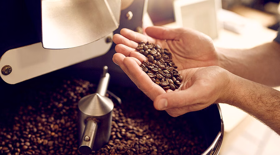Friskristede kaffebønner.
